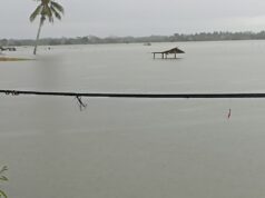 Ratusan Hektare Sawah di Ciganjeng Terendam Banjir, Petani Kembali Alami Kerugian Besar