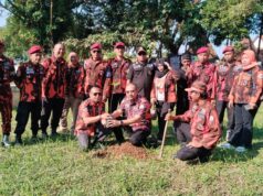 Pemuda Pancasila Ciamis Gaungkan Gerakan Hijau, Ribuan Pohon Ditanam Serentak di Tatar Galuh